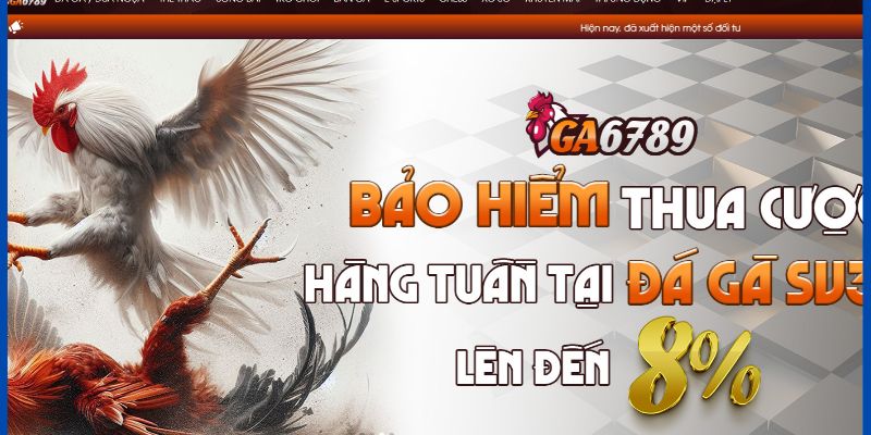 Luôn đảm bảo đường truyền mạng ổn định khi tham gia đá gà